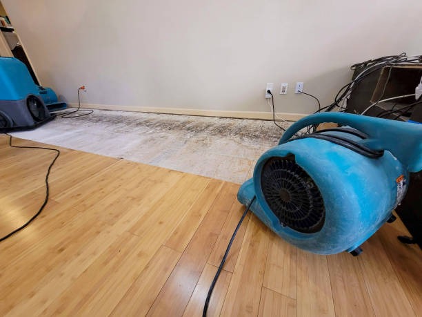 Professional Basement Flood Cleanup technician working in Homer, GA